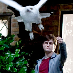 Harry Potter And The Deathly Hallows Harry Potter And The Deathly Hallows